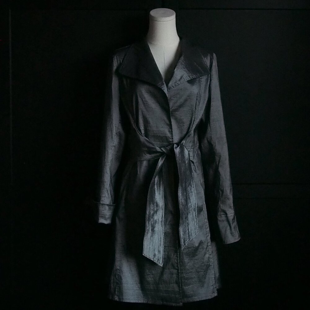 Jerry T | Stunningly Beautiful Silvery-Gray Fall/Spring Coat